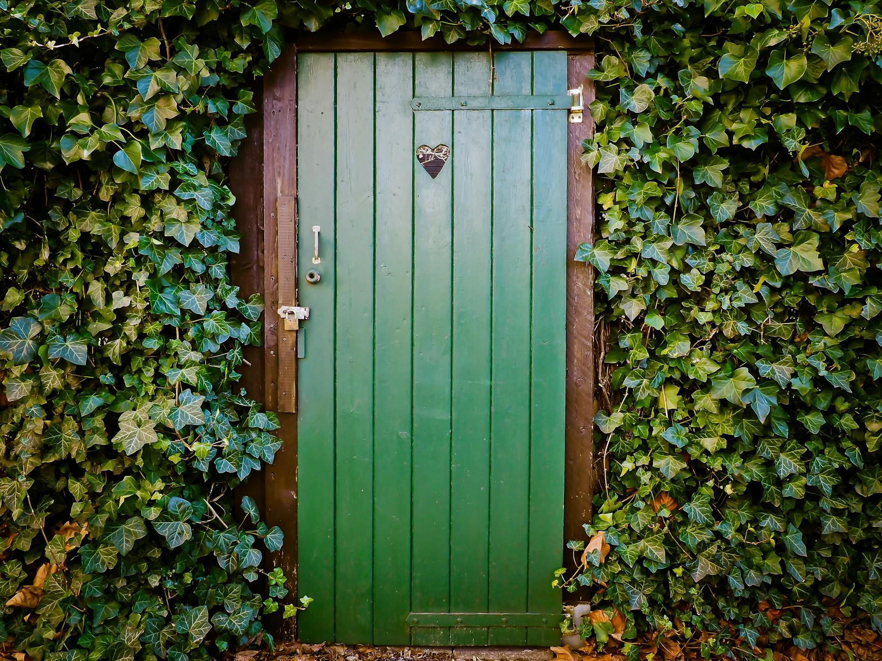 green door and green leafed plants